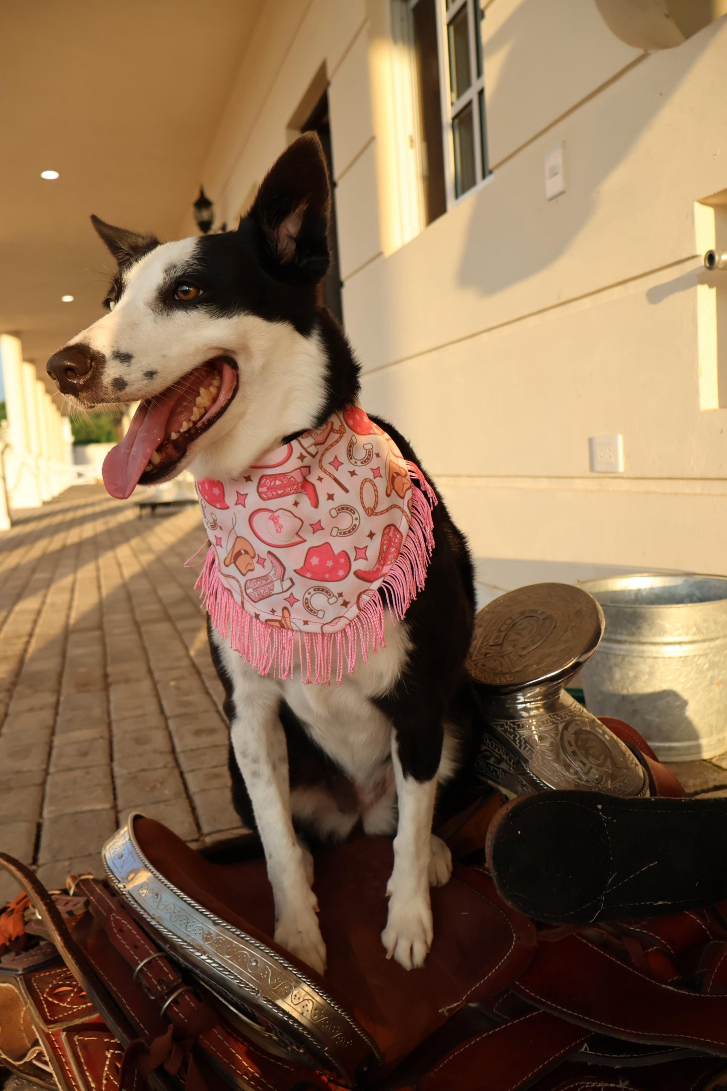 Bandana doble vista “Cowgirl YAMI"