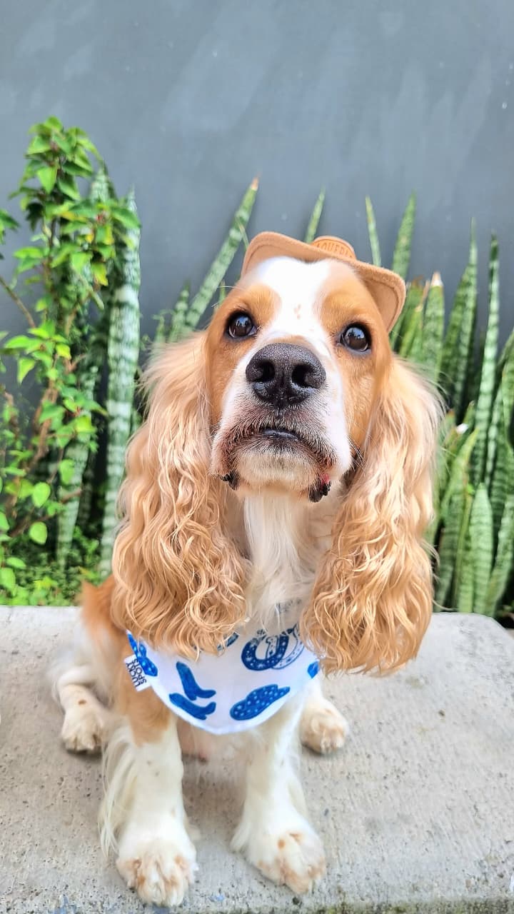 Bandana doble vista “Cowboy LUCKA"