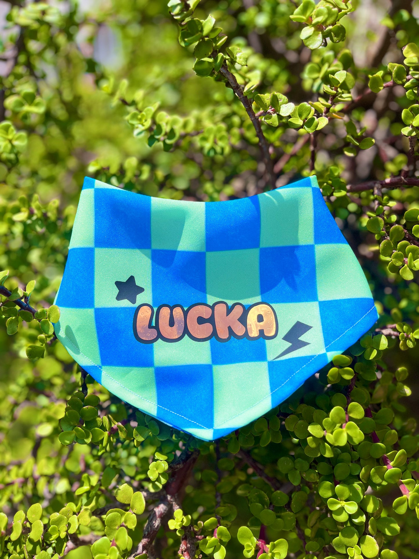 Bandana doble vista "Lomito"