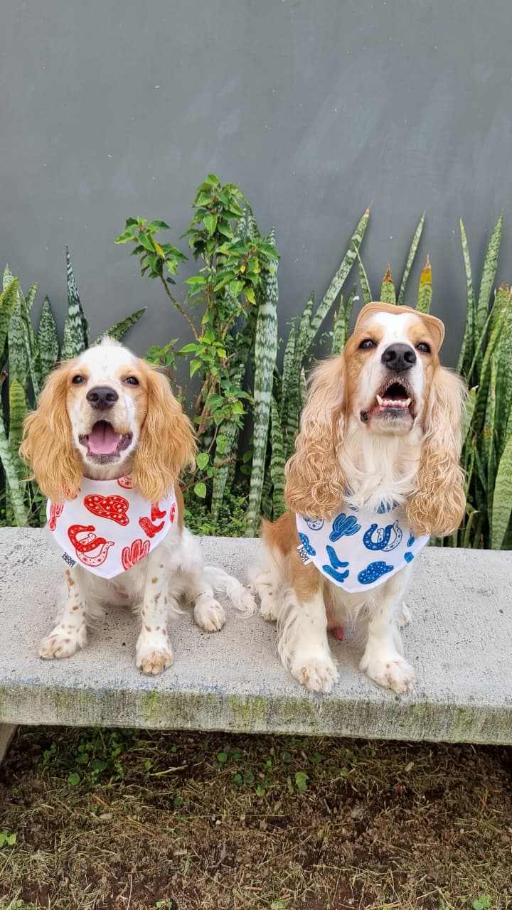 Bandana doble vista “Cowboy BERLIN"