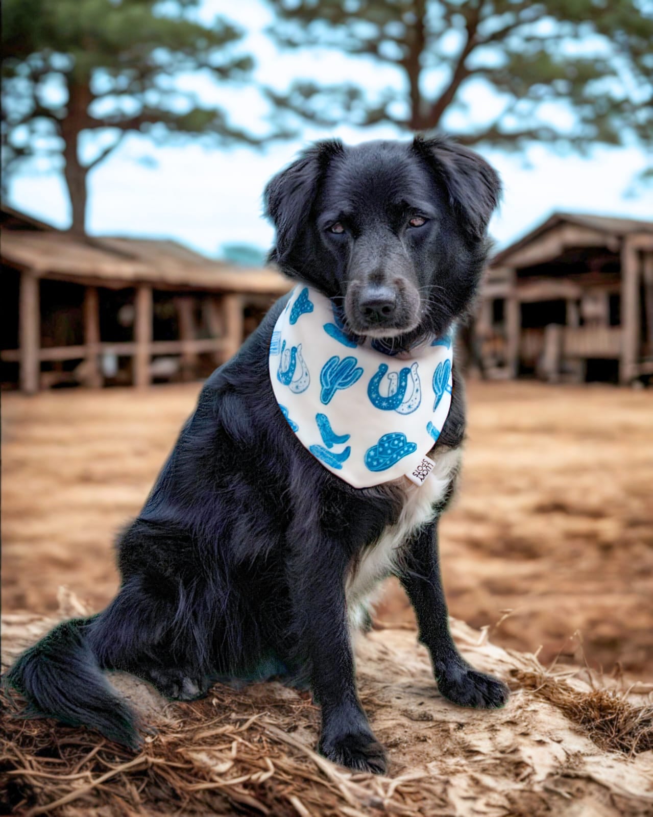 Bandana doble vista “Cowboy LUCKA"