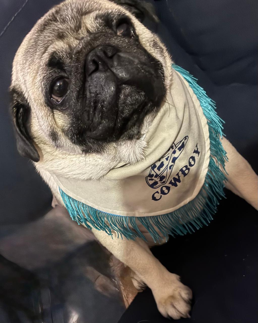Bandana doble vista “Cowboy LUCKA"