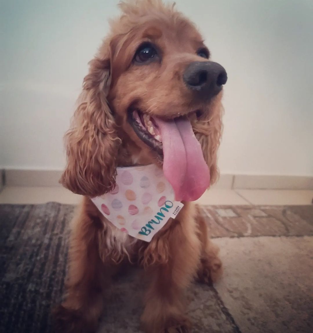 Bandana doble vista "Pascua"