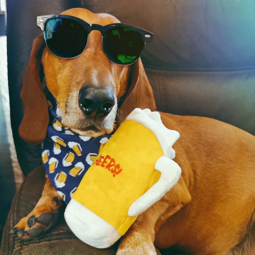 Bandana doble vista "Happy hour"