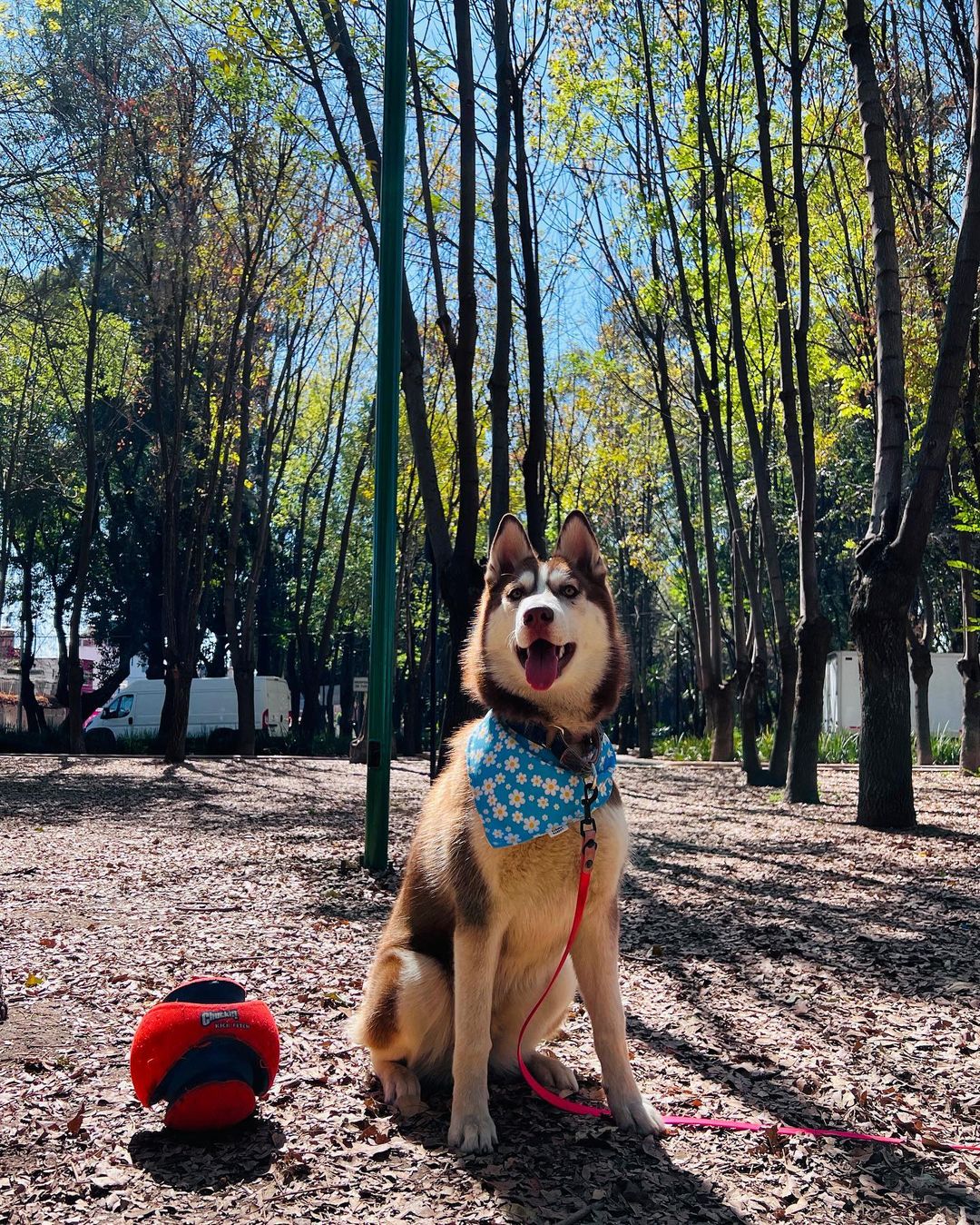 Bandana doble vista "Alisa"