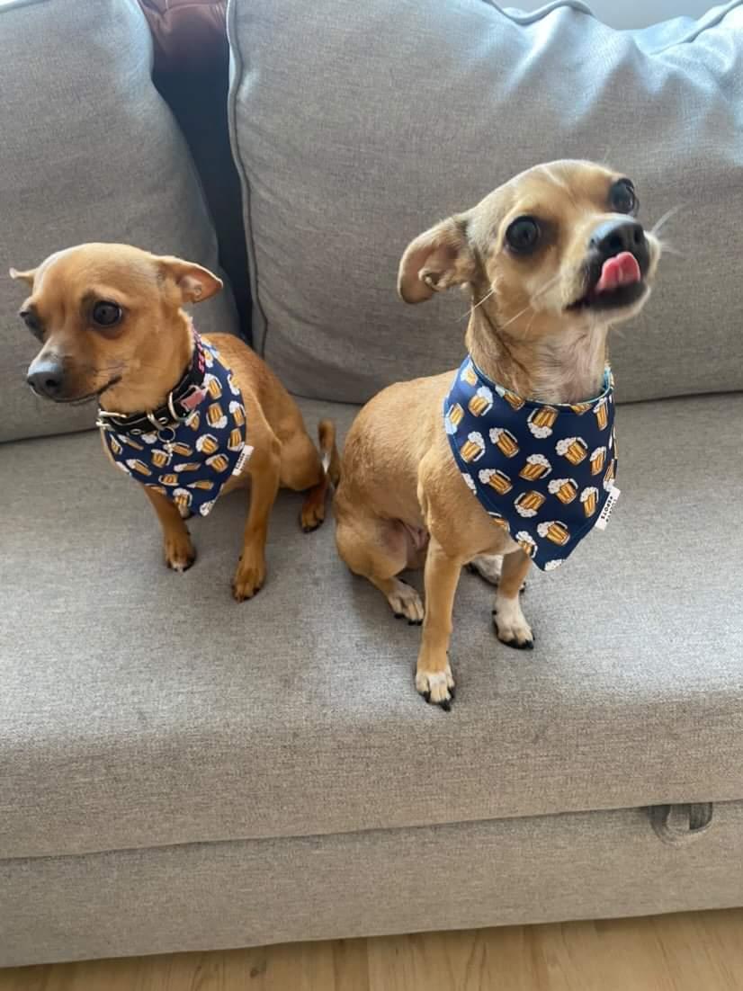 Bandana doble vista "Happy hour"