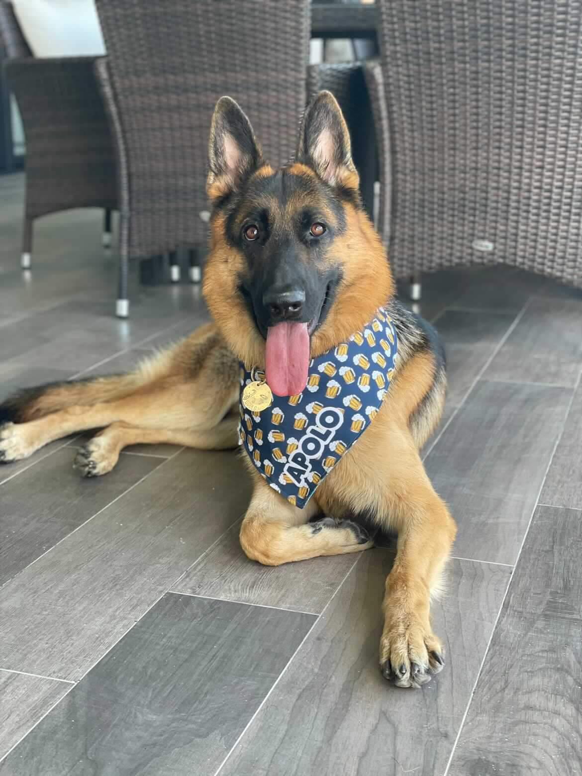 Bandana doble vista "Happy hour"