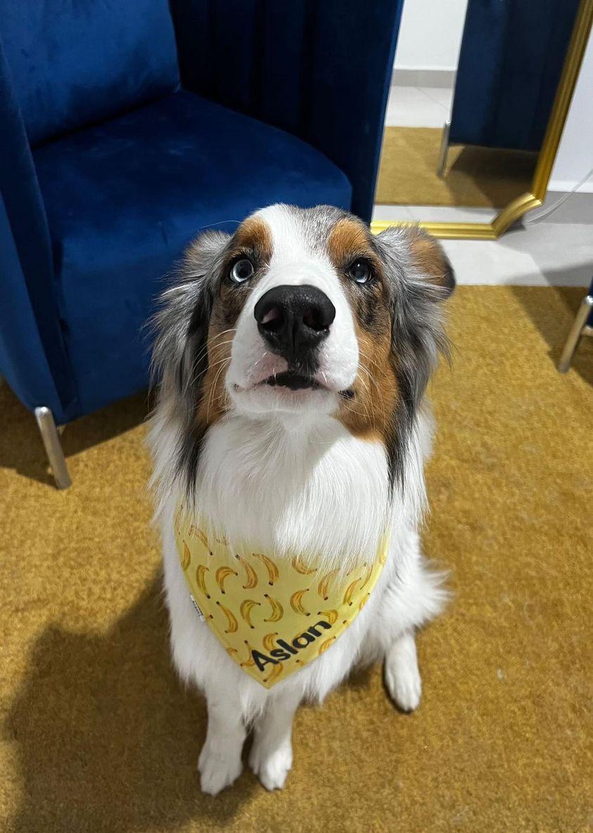 Bandana doble vista "Aslan"
