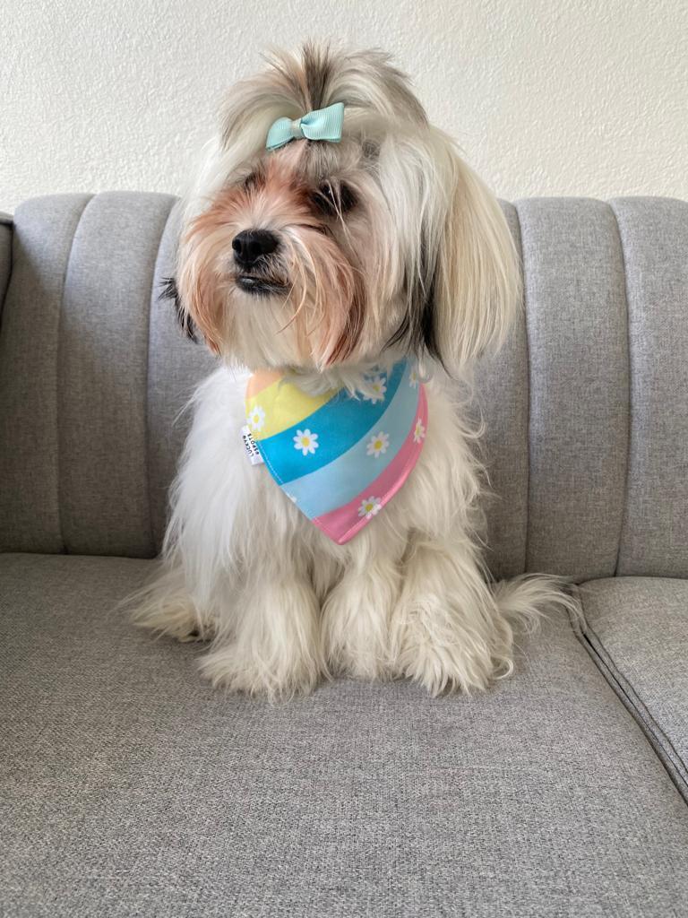 Bandana doble vista "Alisa"