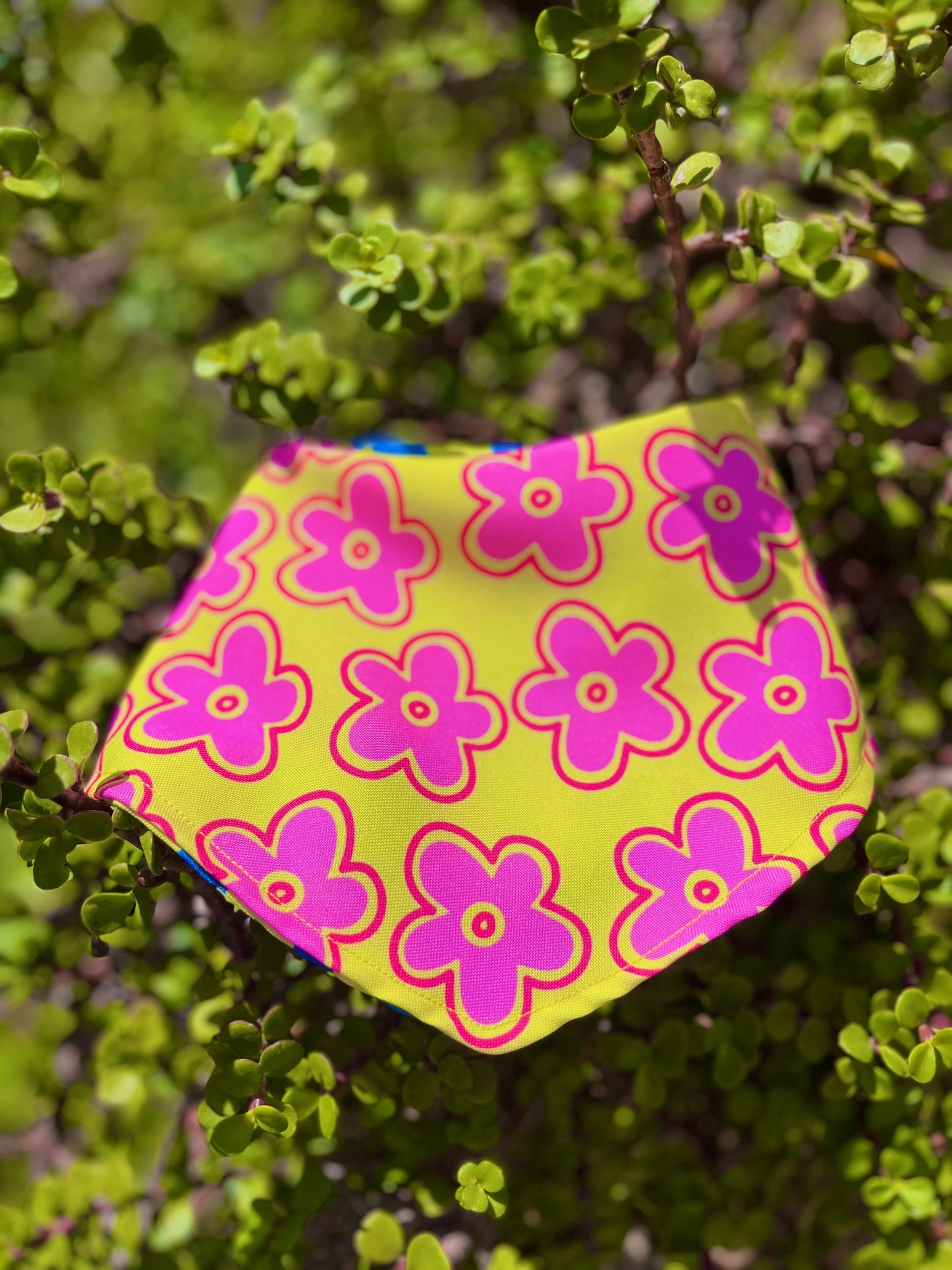 Bandana doble vista "Floreando ando"