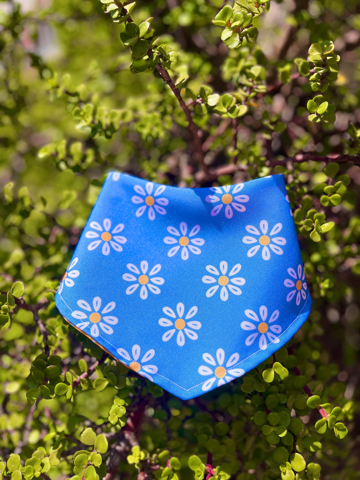 Bandana doble vista "Primavera a todo color"