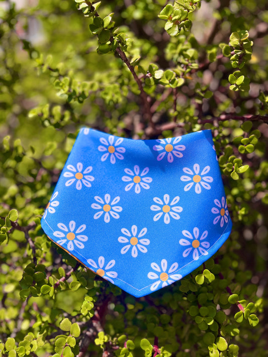 Bandana doble vista "Primavera a todo color"