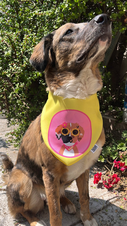 Bandanas doble vista "Spring" ft Woof by Bonnie