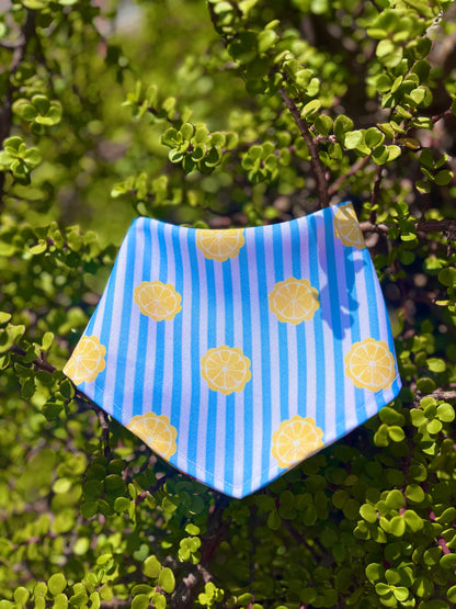 Bandana doble vista "Al agua pato"