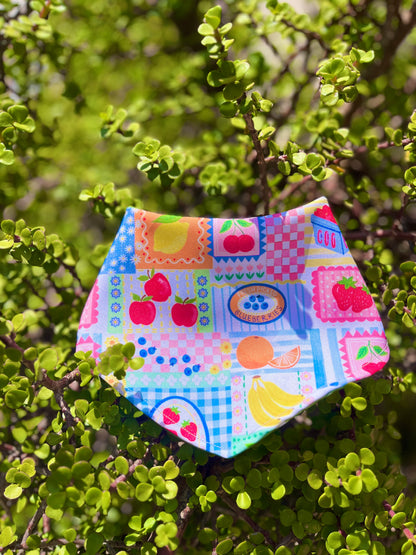 Bandana doble vista "De la mesa a tus patitas"