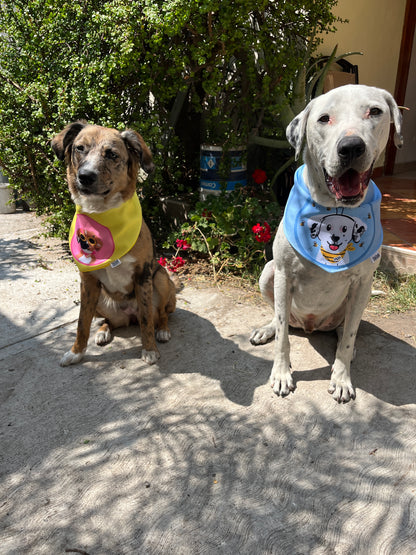 Bandanas doble vista "Spring" ft Woof by Bonnie