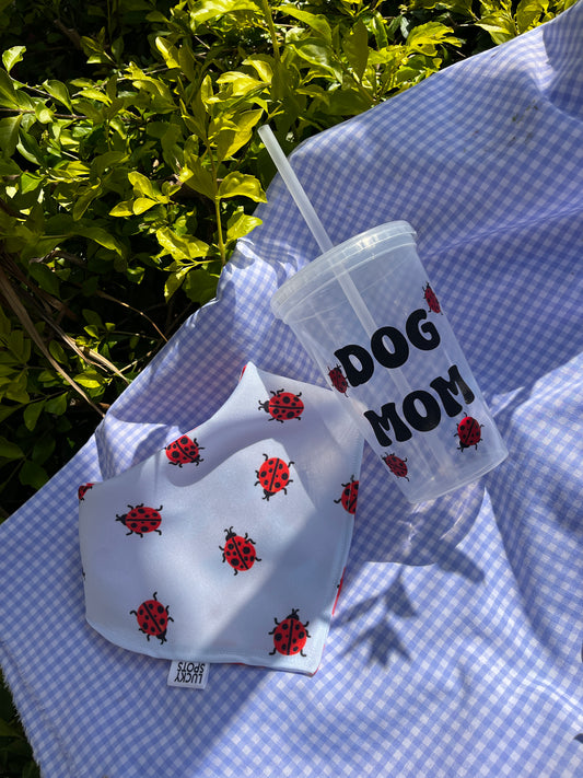 Vaso "Lady bug"