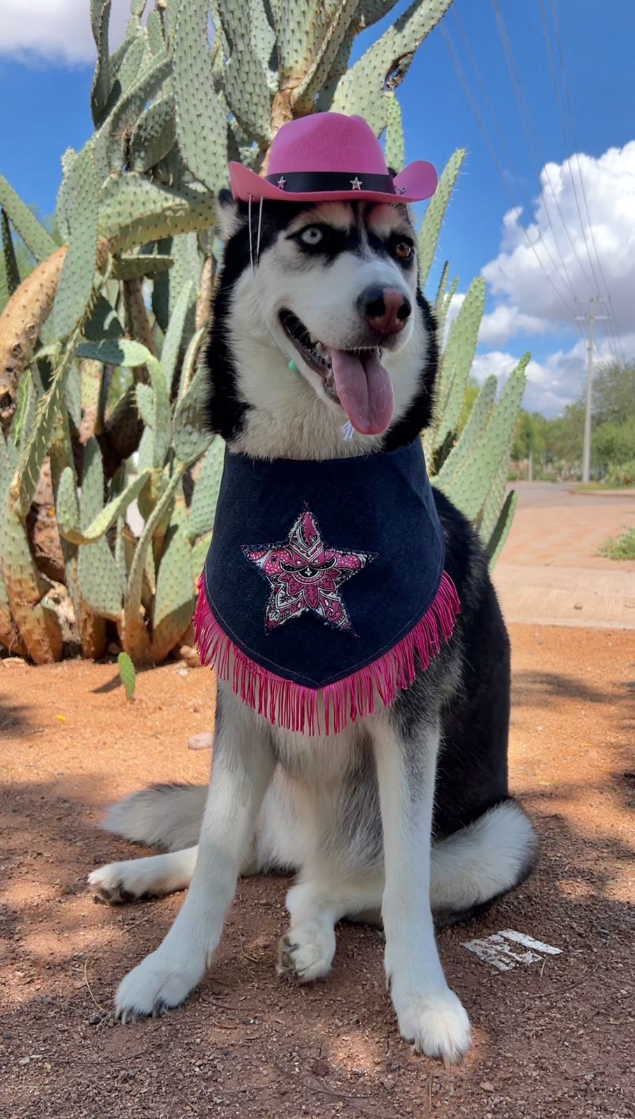Bandana doble vista “Cowgirl NAILA"
