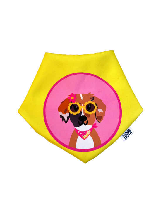 Bandanas doble vista "Spring" ft Woof by Bonnie