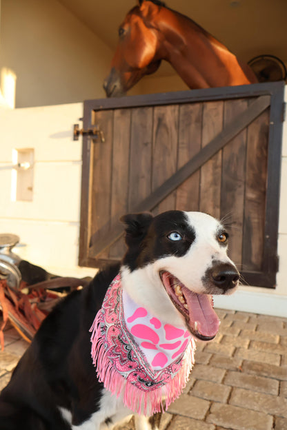 Bandana doble vista “Cowgirl NALA"