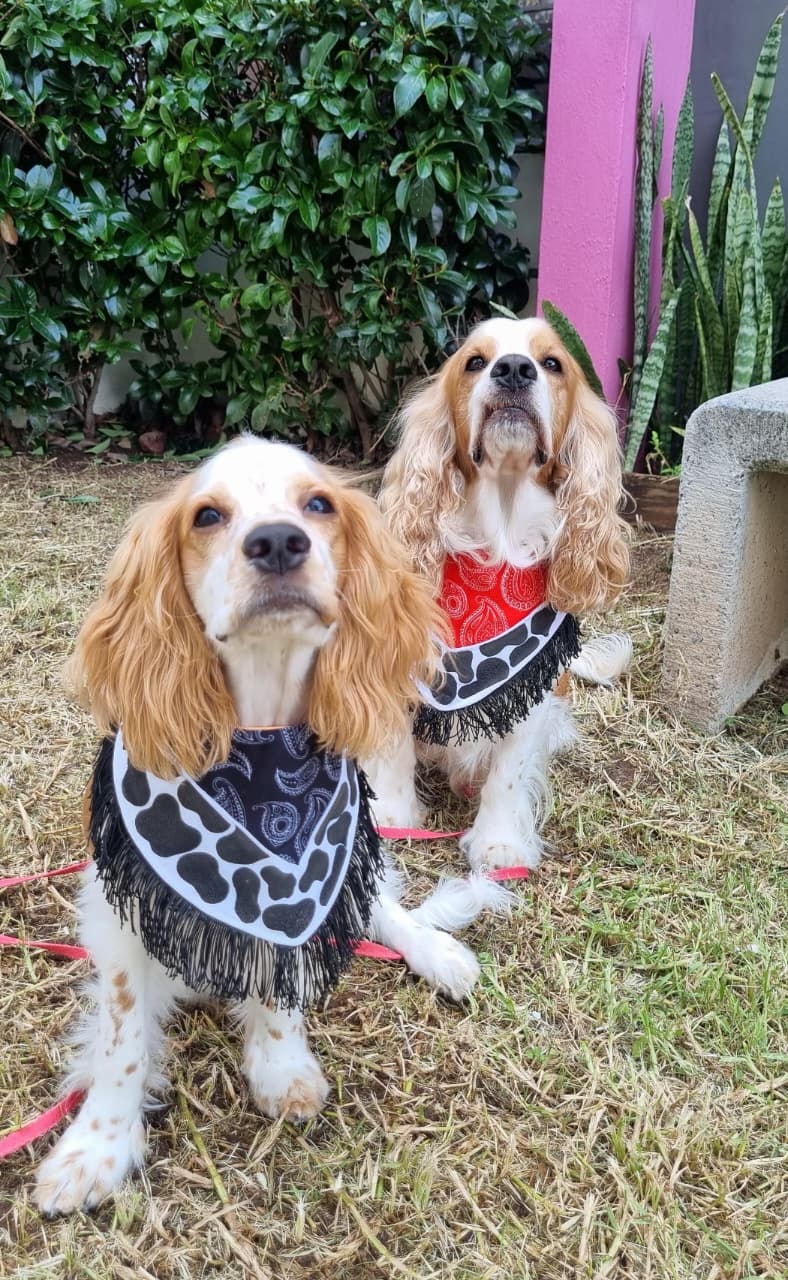 Bandana doble vista “Cowgirl NALA"