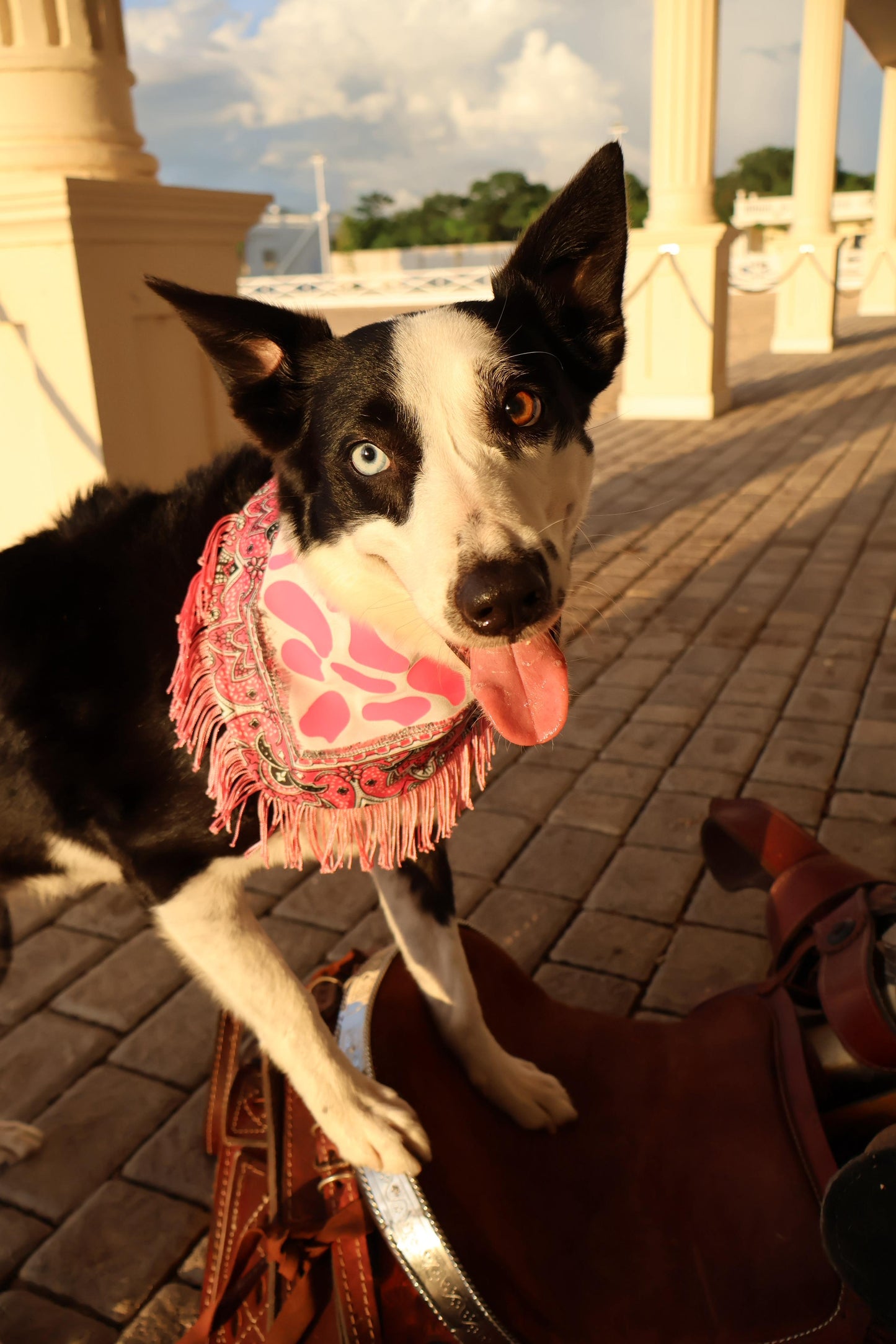 Bandana doble vista “Cowgirl NALA"
