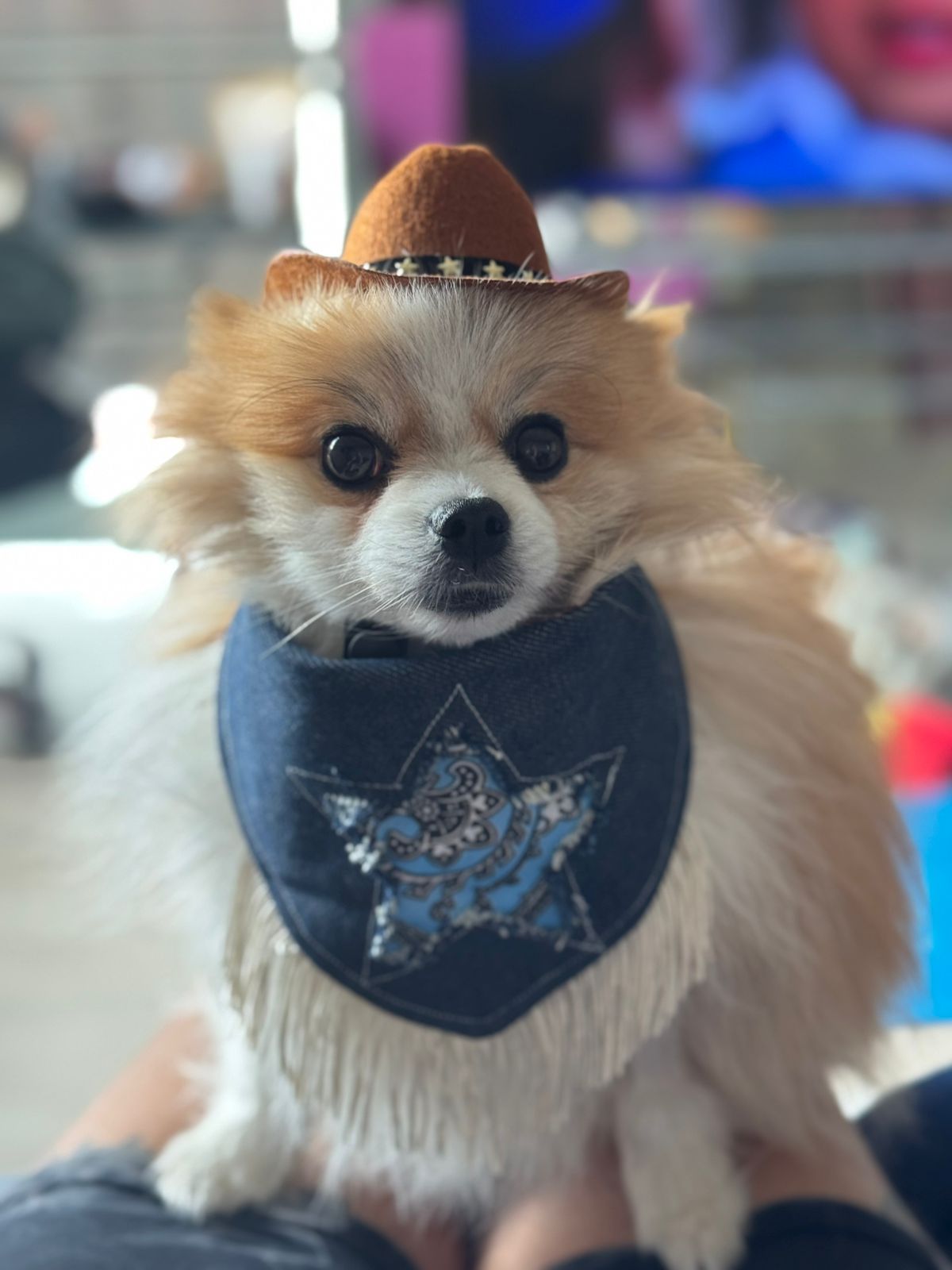 Bandana doble vista “Cowgirl NAILA"