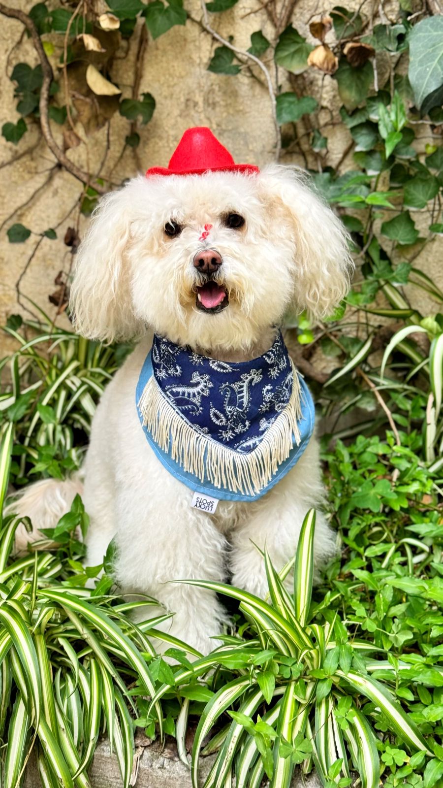 Bandana doble vista “Cowgirl YUUKI"