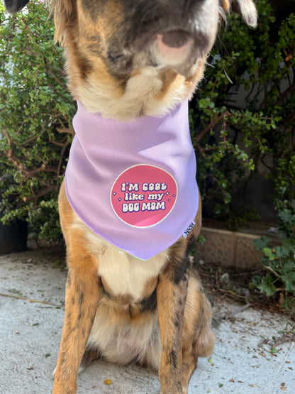 Bandana doble vista "Celebrando a mi dog mom"