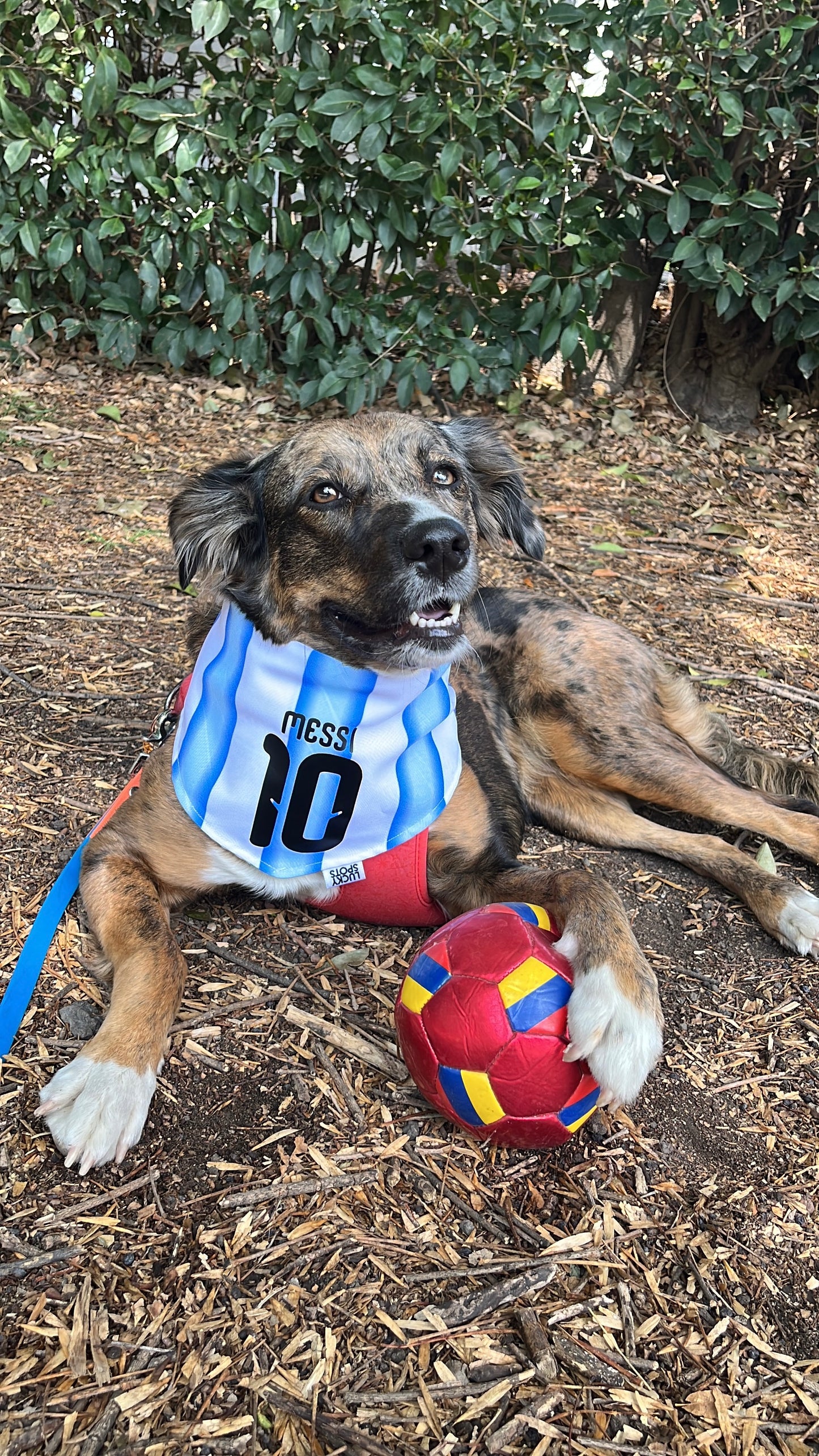 Bandana doble vista "Argentina"