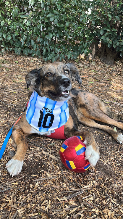 Bandana doble vista "Argentina"