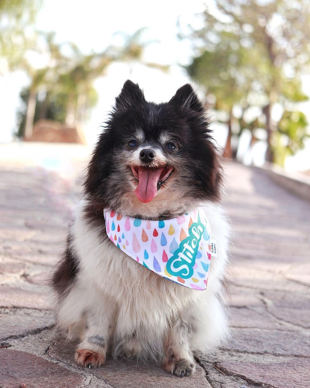 Bandana doble vista "Gotitas"