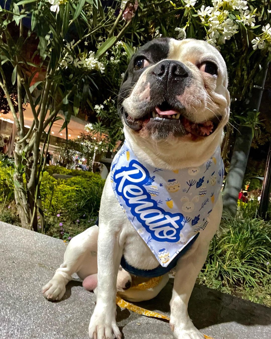 Bandana doble vista "Pascua"