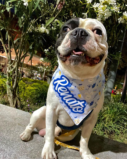 Bandana doble vista "Pascua"