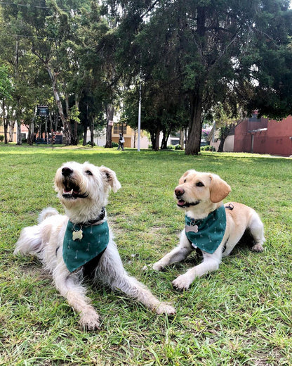 Bandana doble vista "Luka"