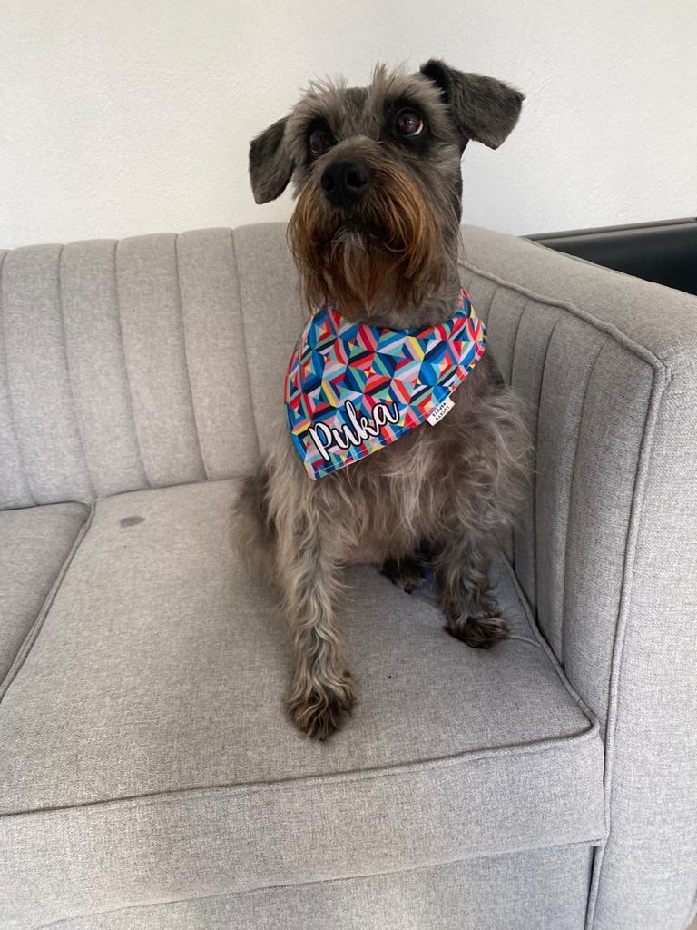 Bandana doble vista "Gotitas"